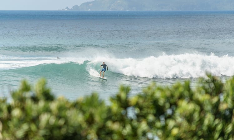 Surfing at Leigh beach