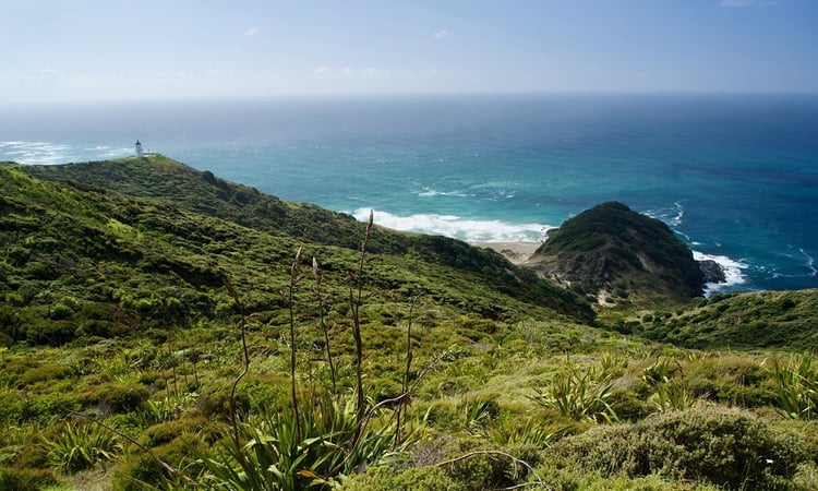 Thomas and Ania Dec 2022 North Island Cape Reinga