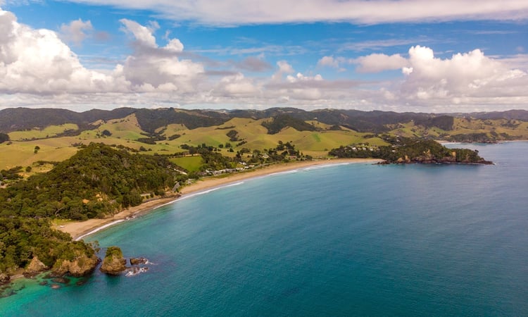 Tutukaka Coast