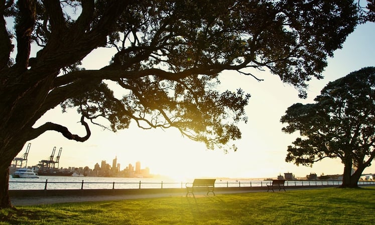 Auckland sunstrike (1)
