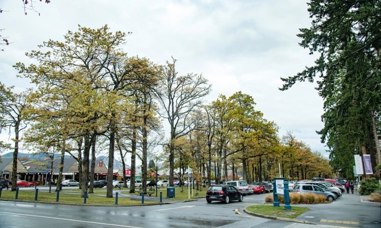 Hanmer Springs village