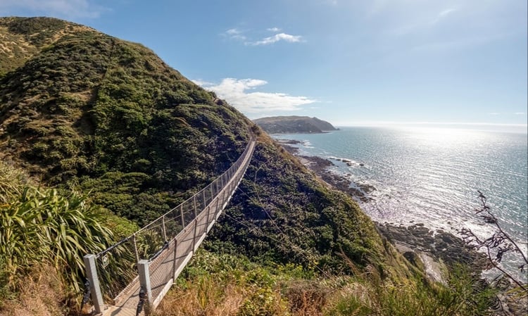 Kapiti track