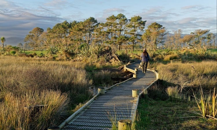 Karamea walk
