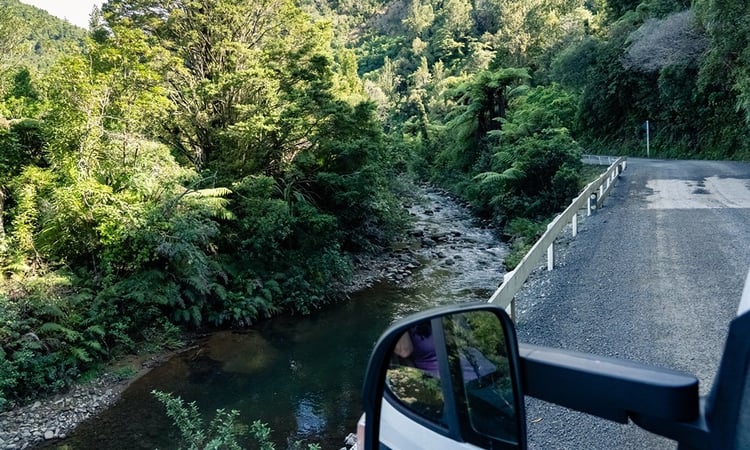 Kauaeranga_Valley driving