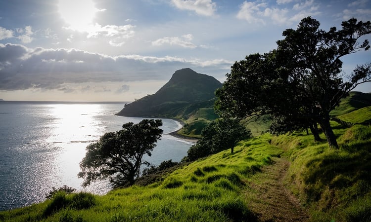 RS19548_Coromandel Coastal Walkway-0594-5742x3445-35d98bd