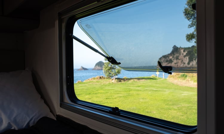 wilderness-photos-34 - hahei
