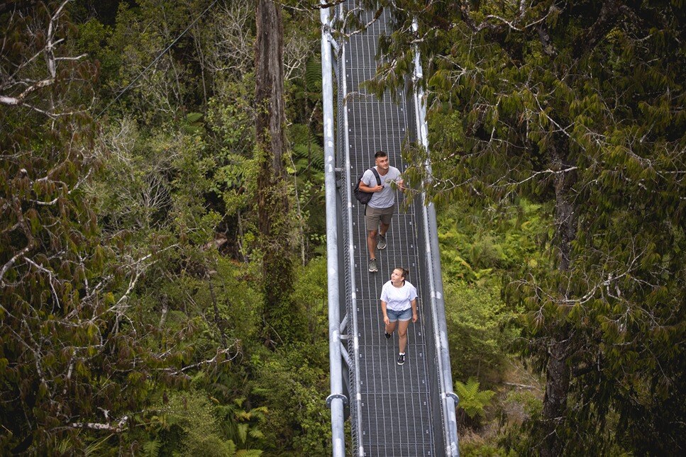 West Coast Tree Top Walk