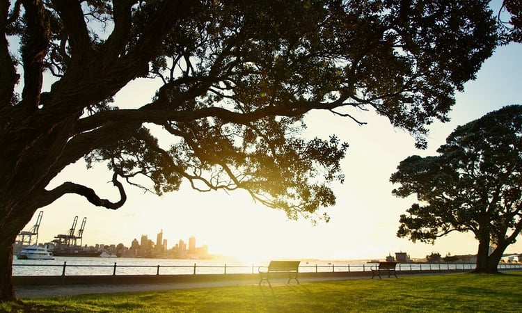 Auckland sunset