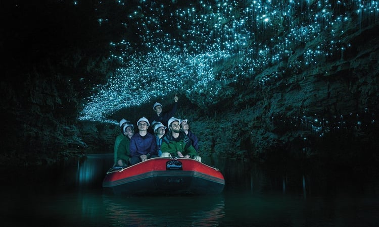 Spellbound-Waitomo Glowworm caves