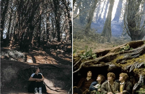 Hobbit's Hideaway (Mount Victoria)