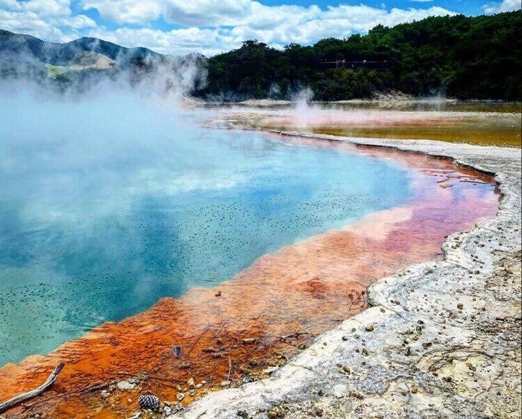 Wai-O-Tapu Thermal Gyser