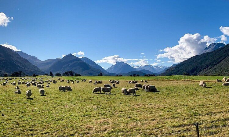 Isengard — Paradise