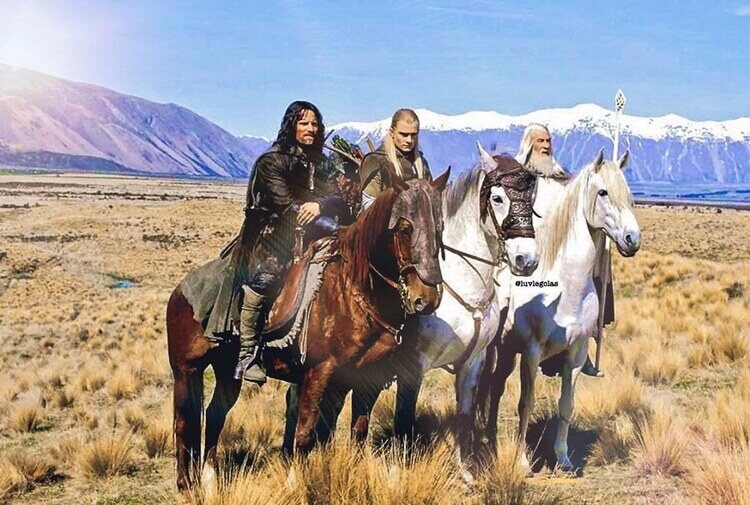 Luvlegolas horses at castle hill