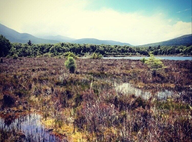 Dead Marshes — Kepler Mire