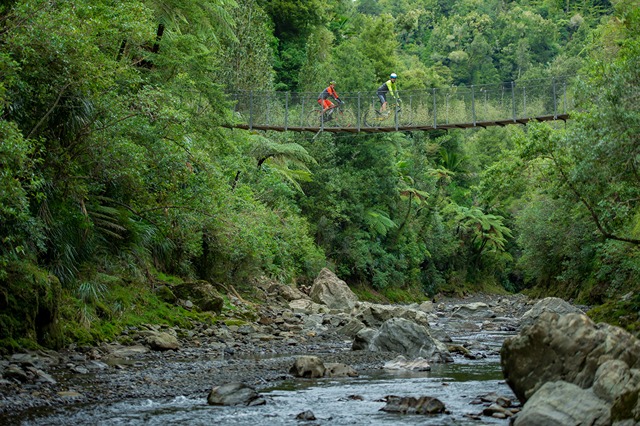 Motu Pakihi Track Cycle Trail Bridge (Image by Tourism Bay of Plenty)