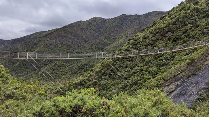 Remutaka Cycle Trail 3 (Credit to Wildfinder) 