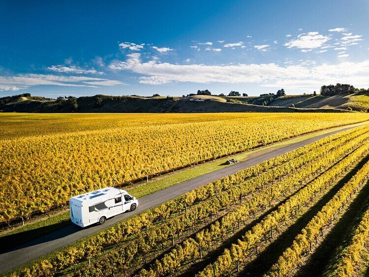 Motorhome driving through vines