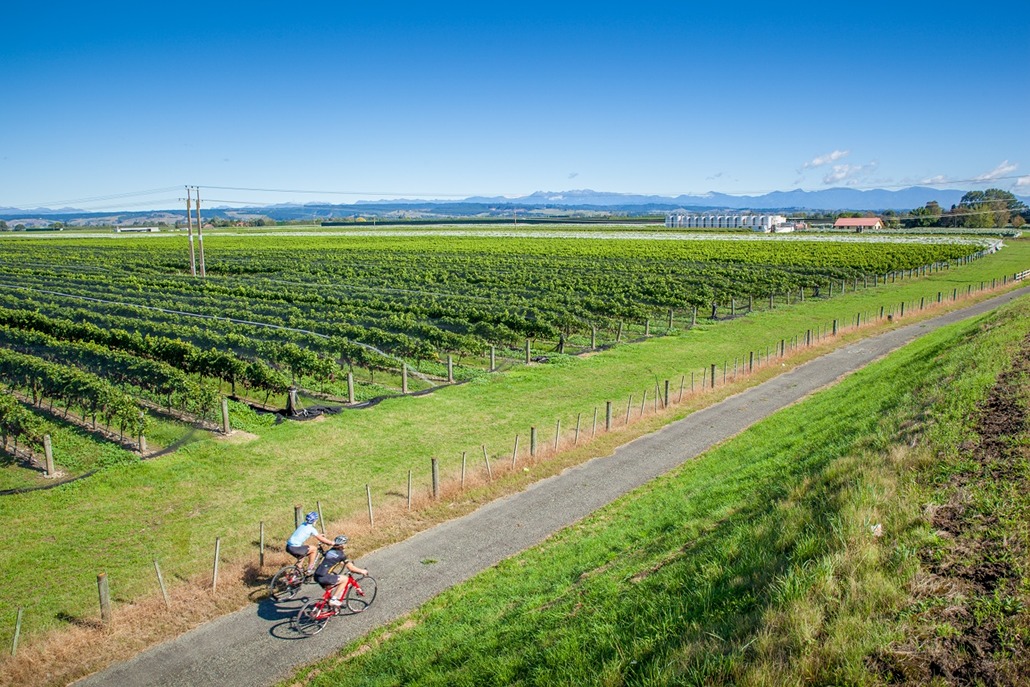 Cyclists near Winery on Tasmans Great Taste Trail - credit George Guille Media