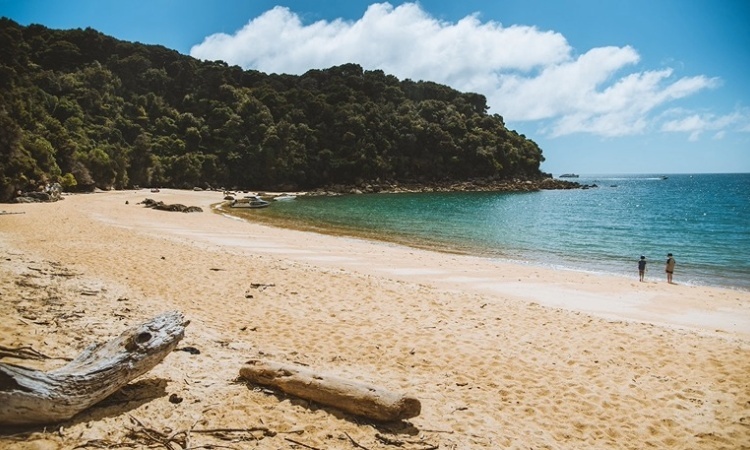 Abel Tasman
