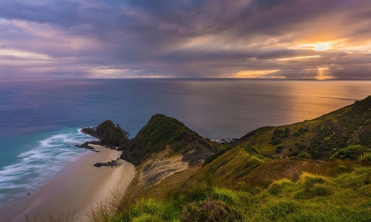 Cape Palliser