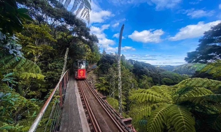Driving Creek Railway