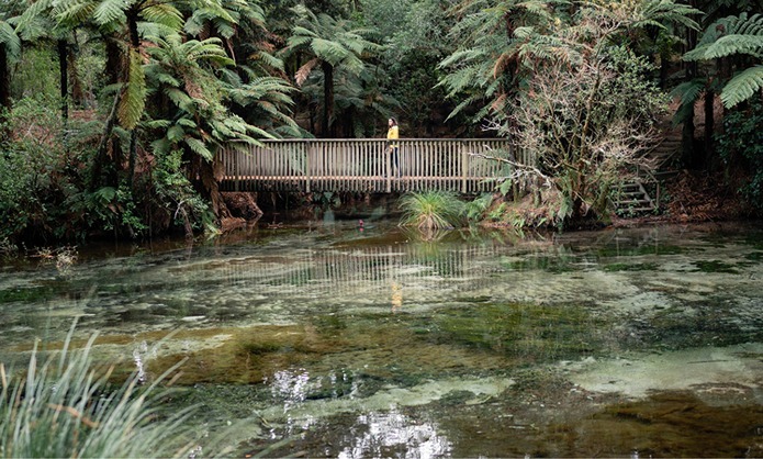 Hamurana Springs