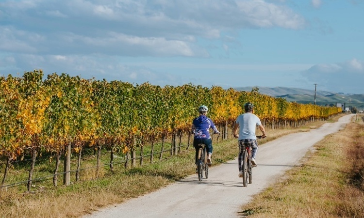 Hawkes Bay Trail (Credit to Kirsten Simcox) 