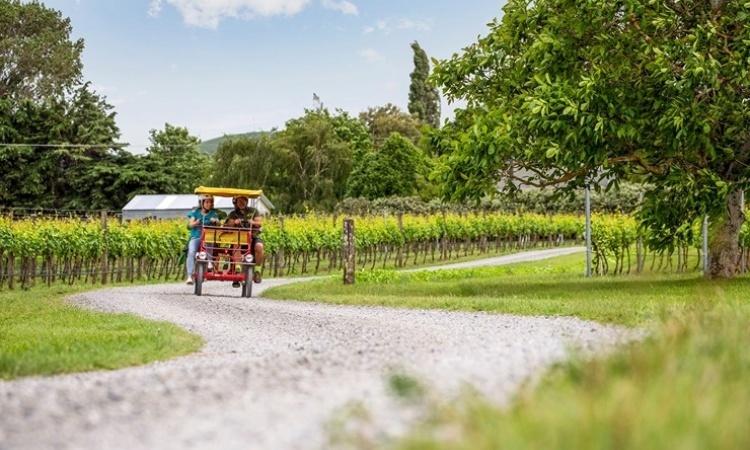 Martinborough Wairarapa - credit Camilla Rutherford