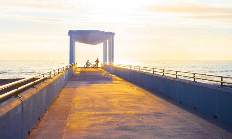 Napier Pier