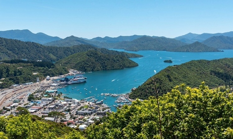 Picton Harbour