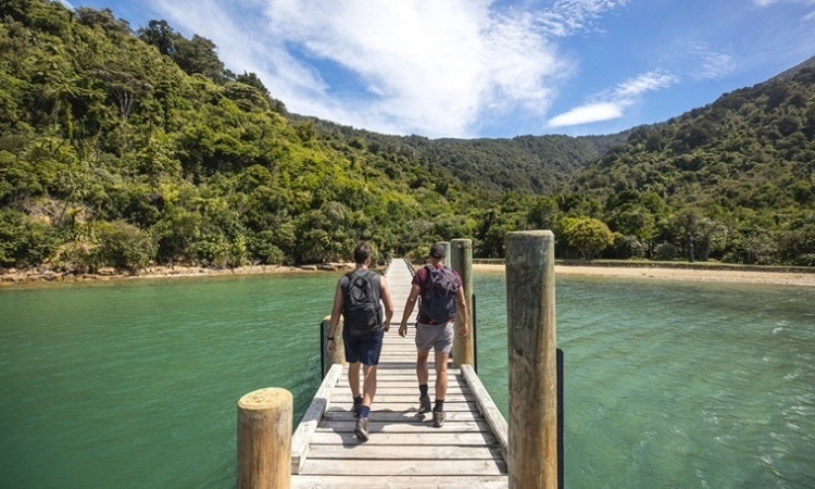 Queen Charlotte Track - TNZ (Miles Holden)