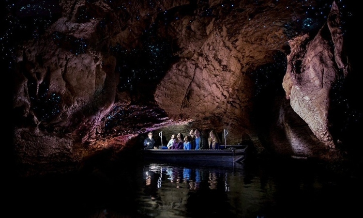 Te Anau glowworms
