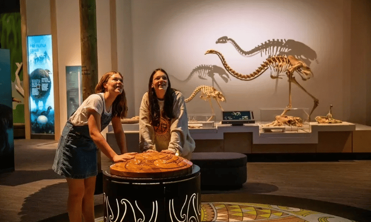 Te Papa Wellington, credit to Camilla Rutherford (TNZ) 