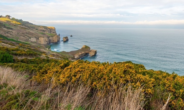 Tunnel Beach, Dunedin