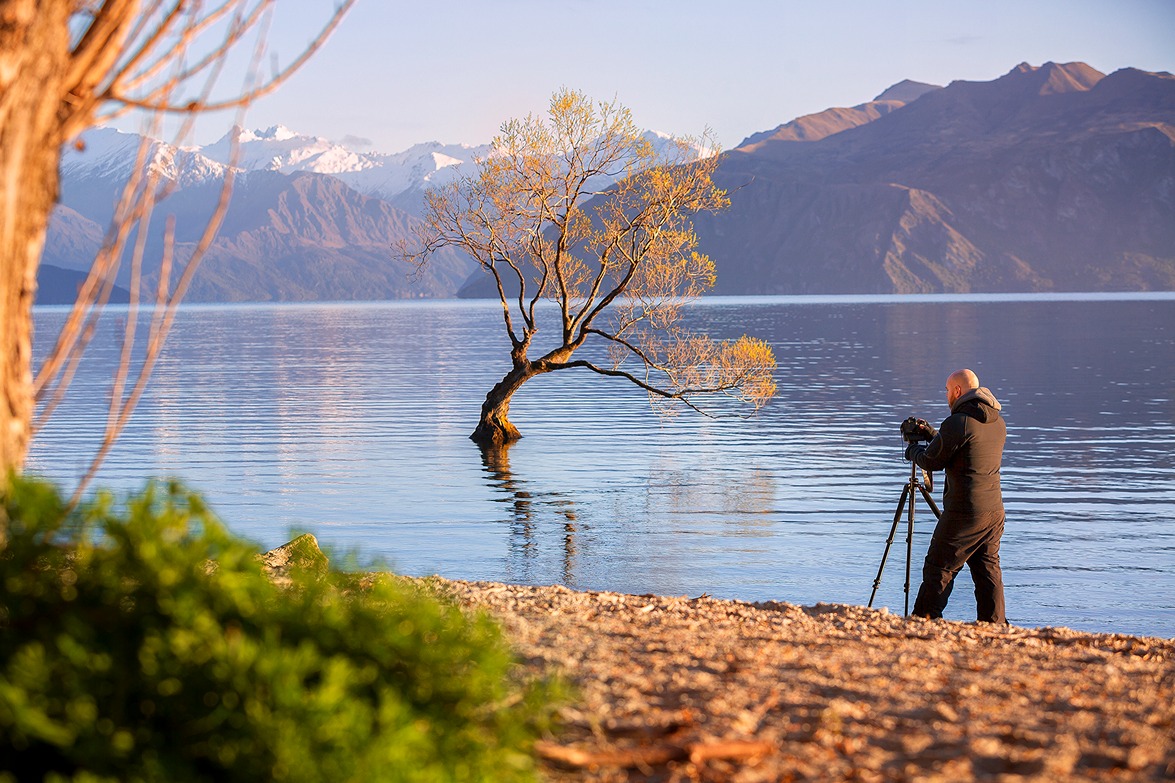 Taking a photo of the Wanaka Tree