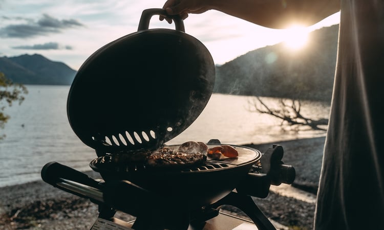 Wilsons Bay BBQ by lake