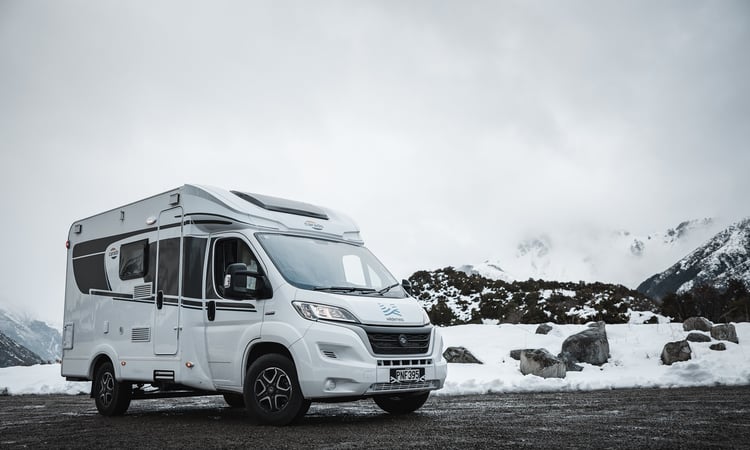 Wilderness in the snow