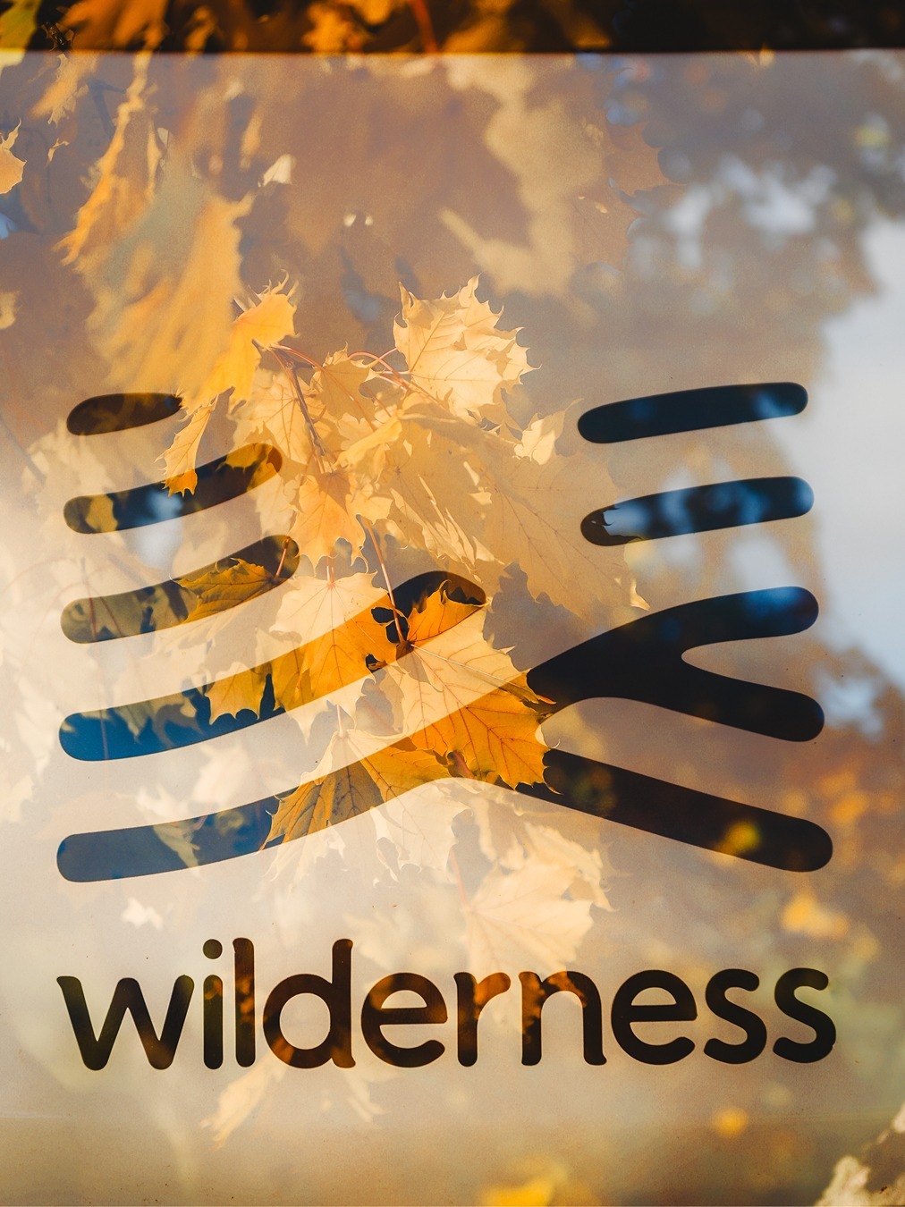 Wilderness 2025_ChloeLodgePhotography_Arrowtown26-3471x4628-bbab771