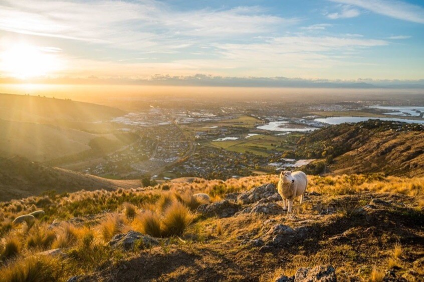 Christchurch City