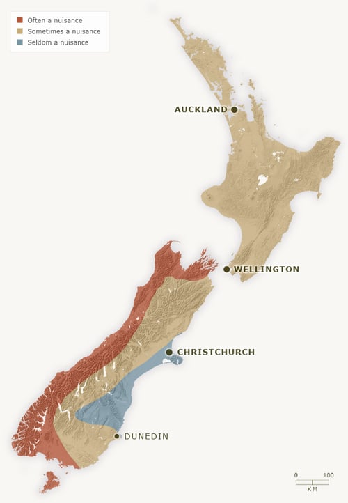 sandfly map new zealand