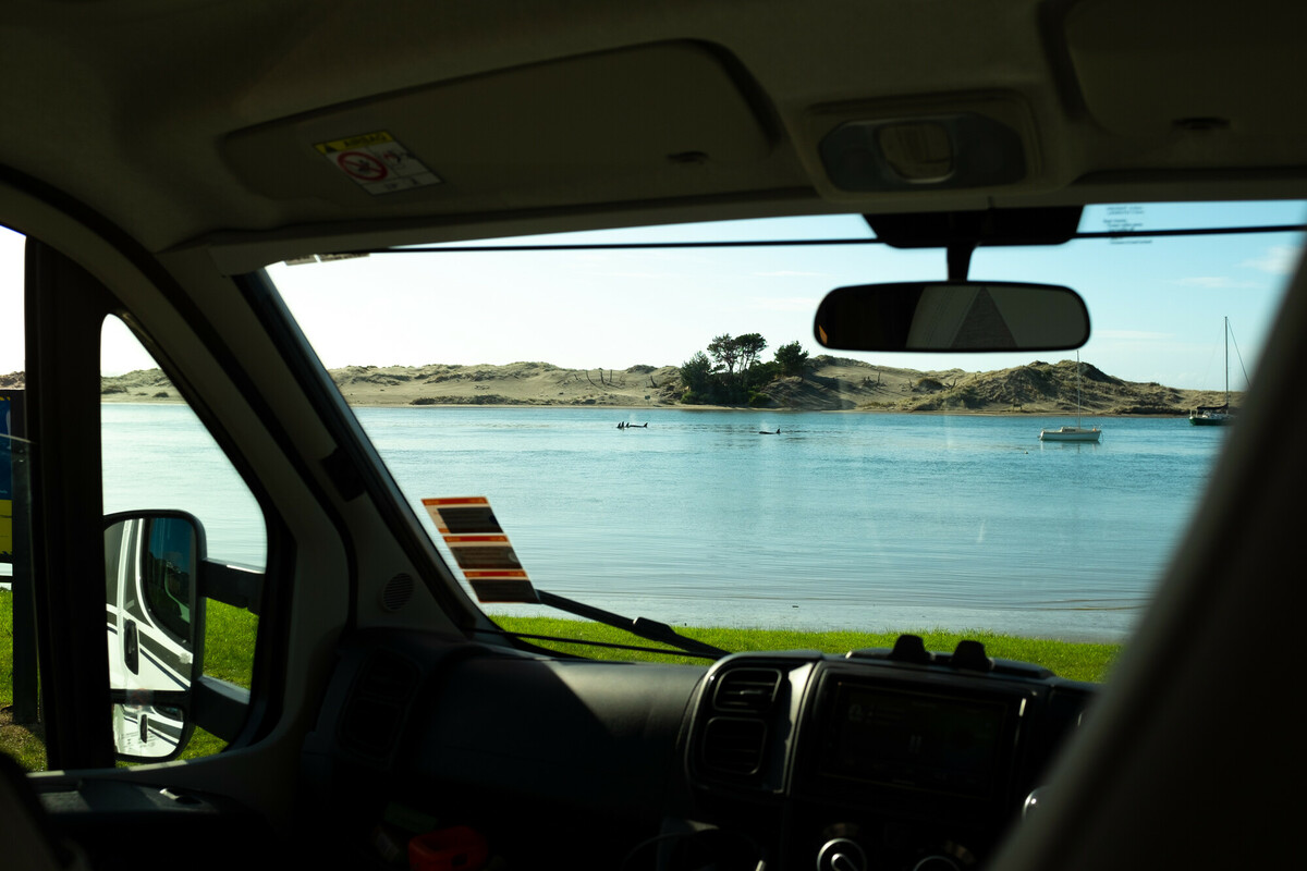 Mangawhai orca sighting from inside a motorhome cab