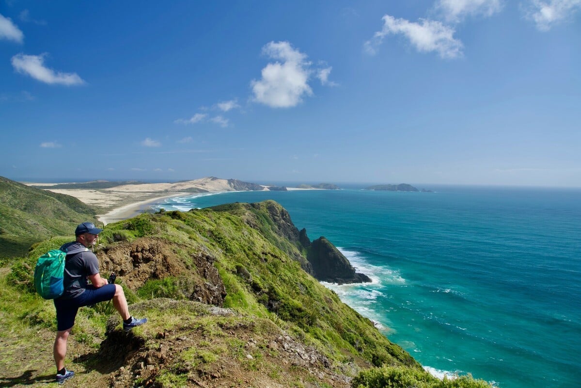 Northland walk with a stunning beach viewpoint