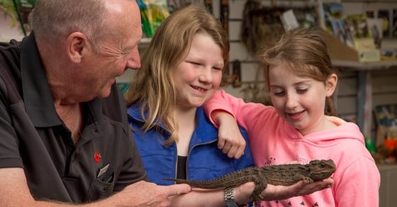 Kiwi north kids tuatara touch in hands