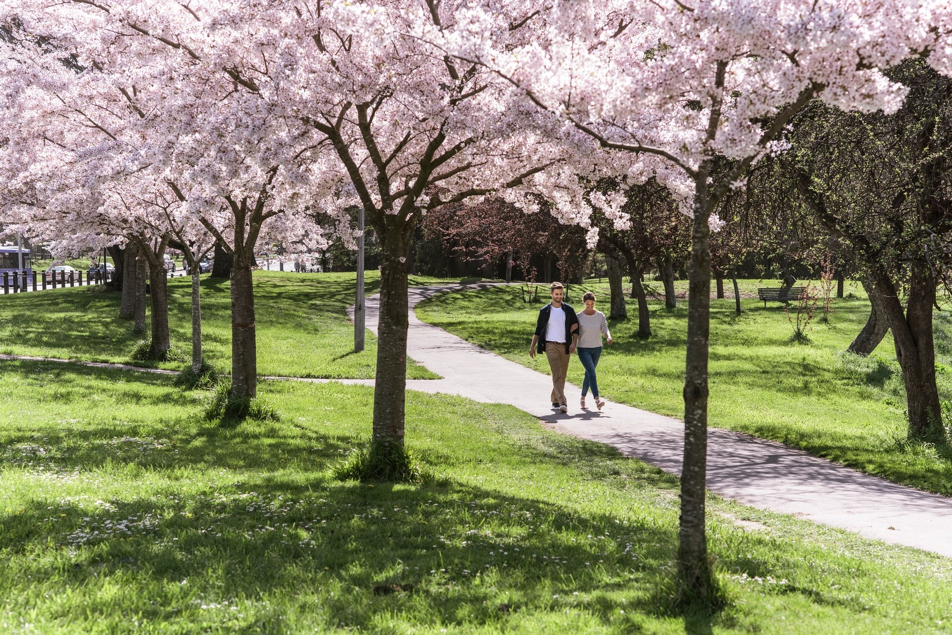 couple walking in a Christchurch park in New Zealand