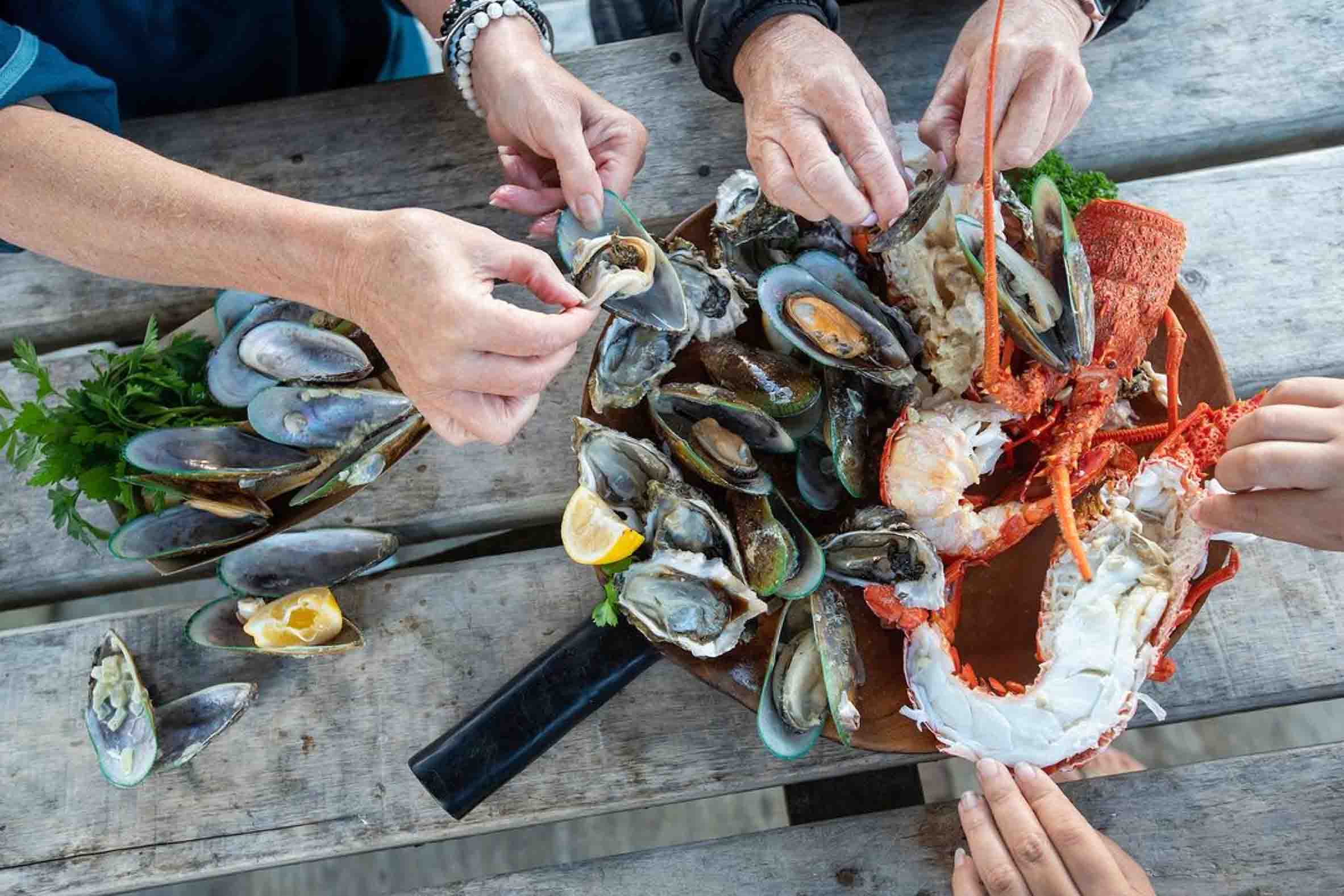 Coromandel Oyster Company