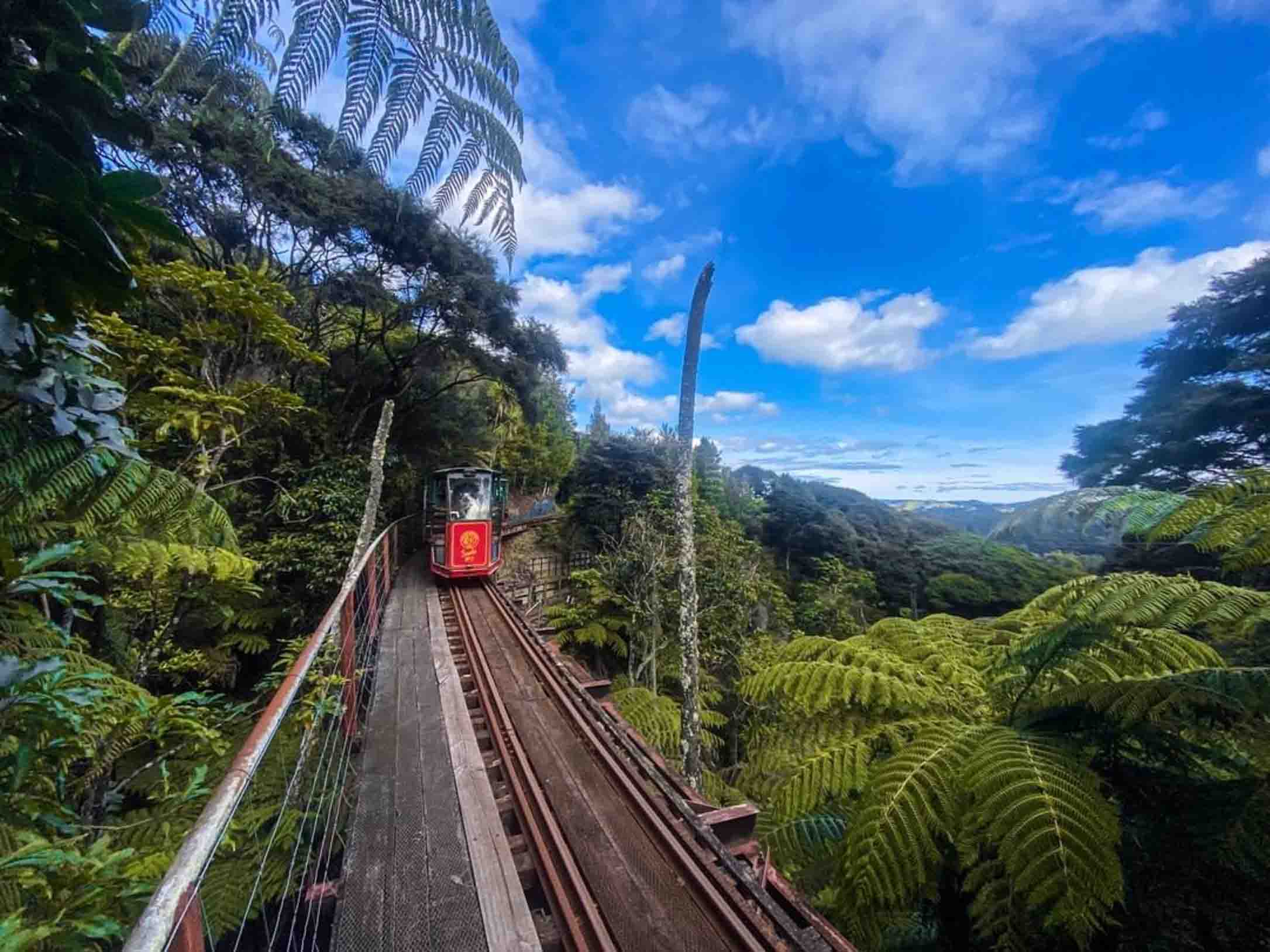 Driving Creek Railway