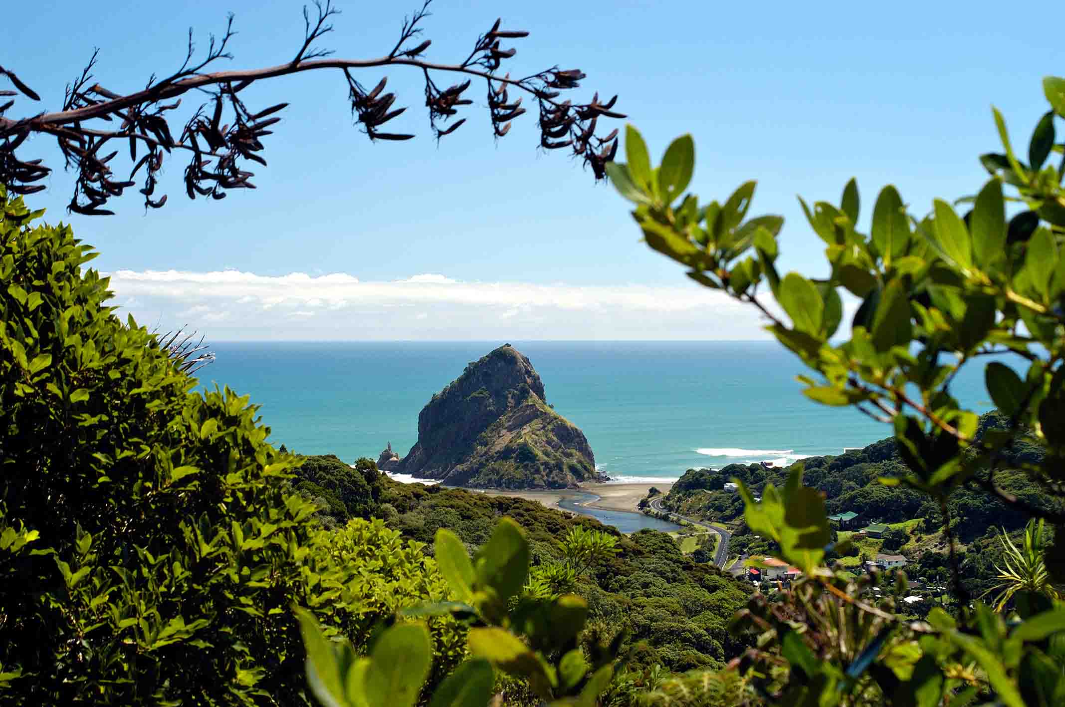 Piha  Lion Rock