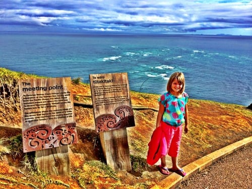campervan, hiring, north island, RV