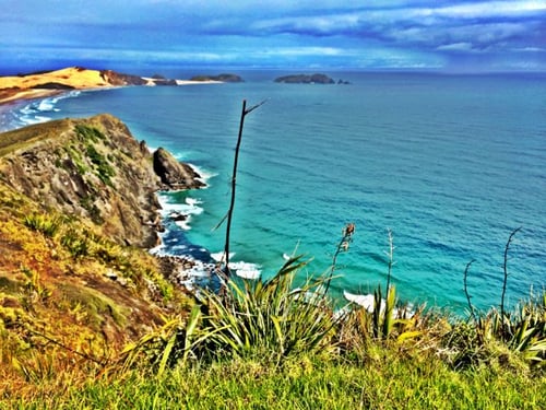 motorhome, hire, north island, RV, 