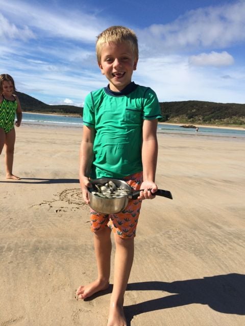 campervan, rental, new zealand, RV,
